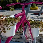 House Camellia With Fenced Pool And Playground Vakantiehuis Blizna Donja