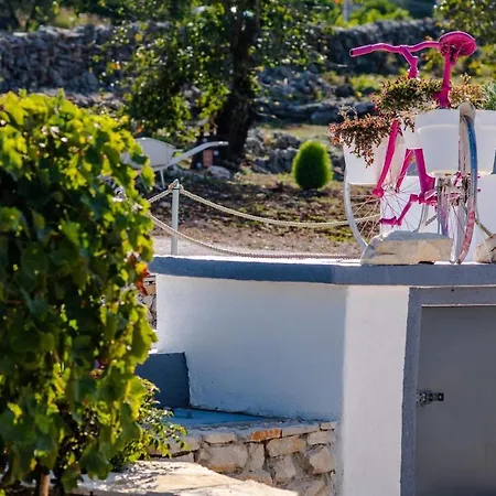 House Camellia With Fenced Pool And Playground *