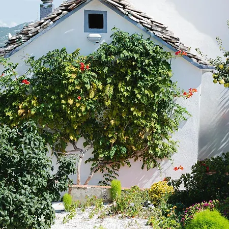 House Camellia With Fenced Pool And Playground
